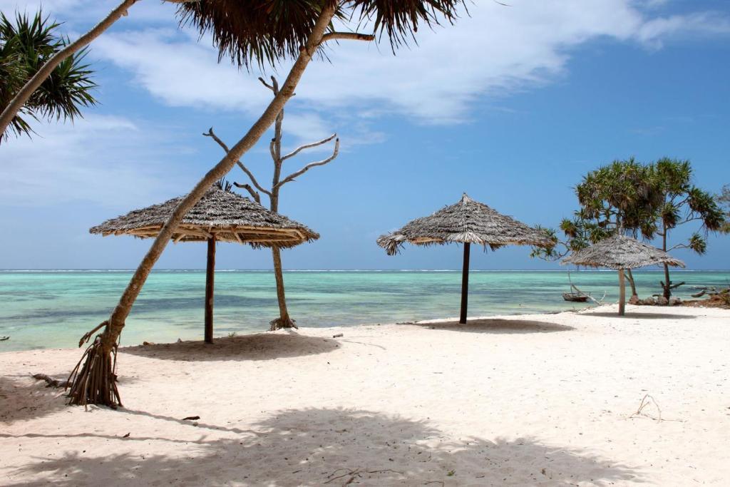 Nest Style Beach Hotel Zanzibar Makunduchi Kültér fotó