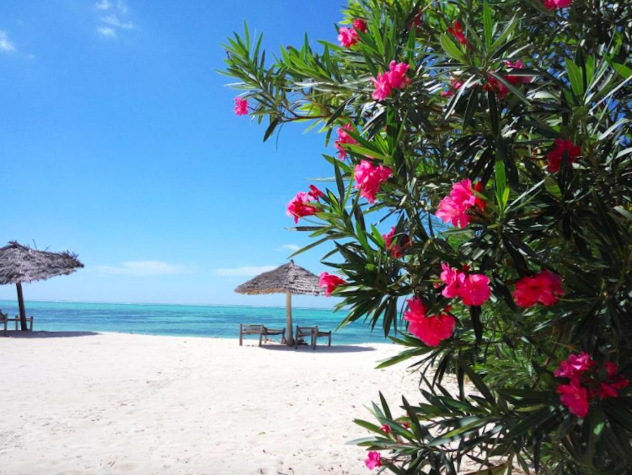 Nest Style Beach Hotel Zanzibar Makunduchi Kültér fotó
